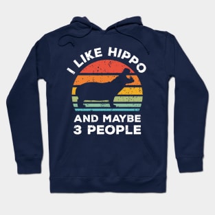 I Like Hippo and Maybe 3 People, Retro Vintage Sunset with Style Old Grainy Grunge Texture Hoodie